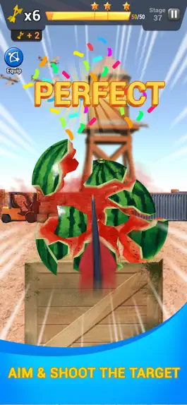 Game screenshot Archery: Master Shooter apk