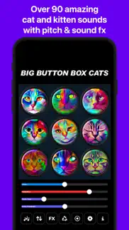 big button box: cat sounds iphone screenshot 1