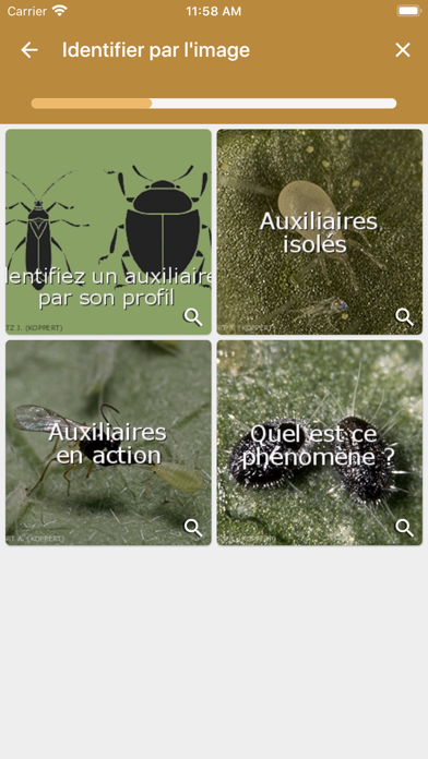 Diagnoplant biocontrôle Screenshot