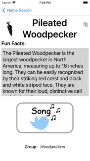 bird field guide for kids iphone screenshot 4