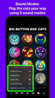 big button box: cat sounds iphone screenshot 4