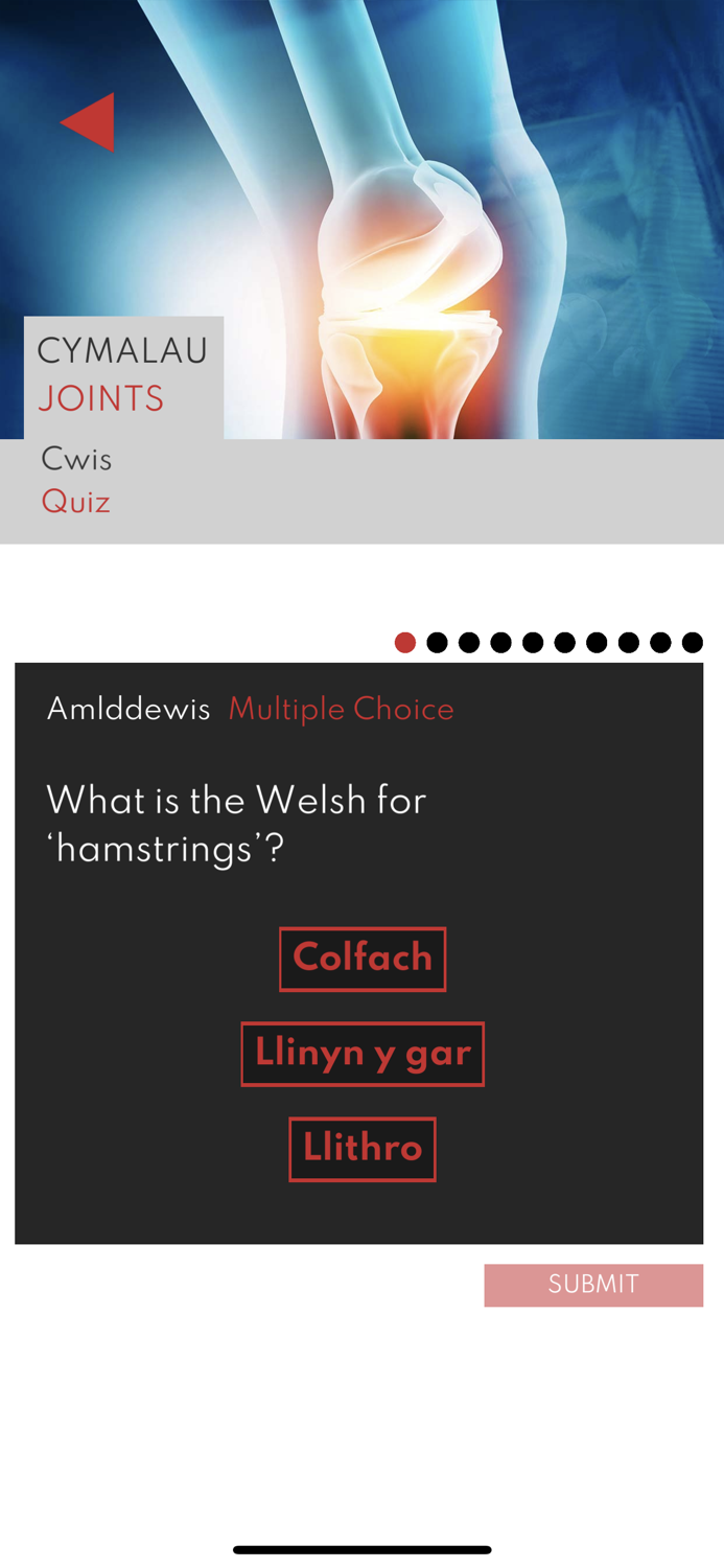 Chwaraeon Trwy’r Gymraeg