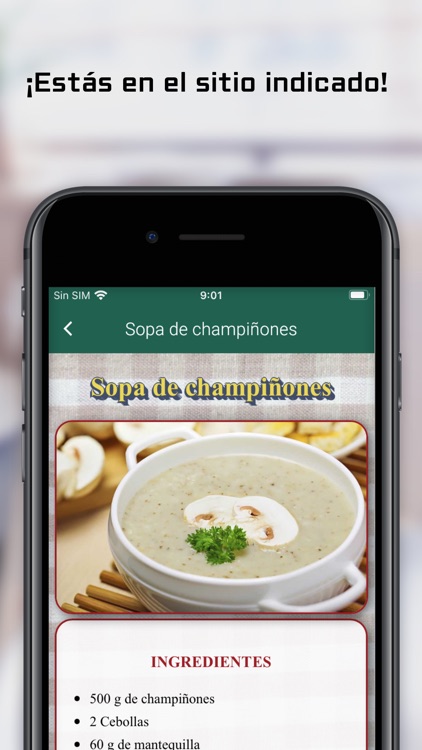 Recetas de Comida Casera screenshot-4