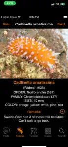 Nudibranch ID Western Pacific screenshot #4 for iPhone