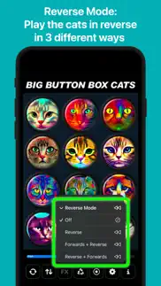 big button box: cat sounds problems & solutions and troubleshooting guide - 4
