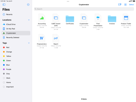 Cryptomator: Full Version Screenshots