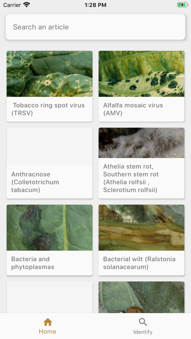 DiagnoPlantTobacco Screenshot