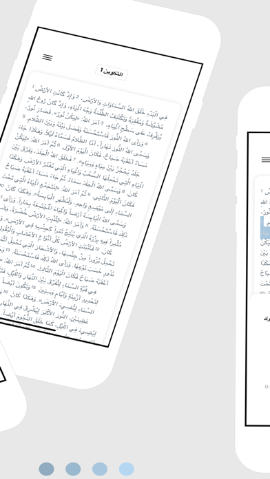 Arabic Bible Screenshot