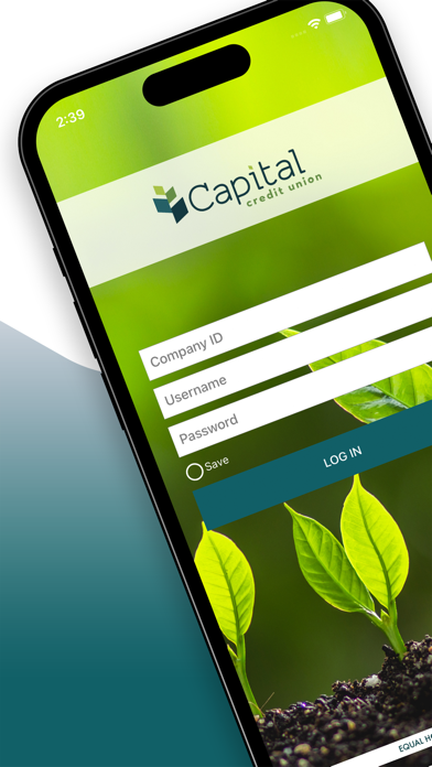 Capital Credit Union Business Screenshot