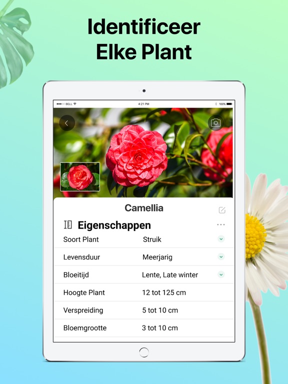 PictureThis: Planten Herkennen iPad app afbeelding 2