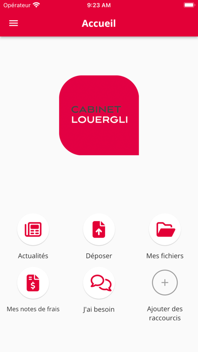 Screenshot #2 pour Cabinet Louergli