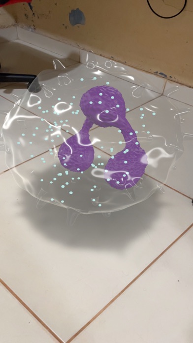 Blood cells AR Screenshot