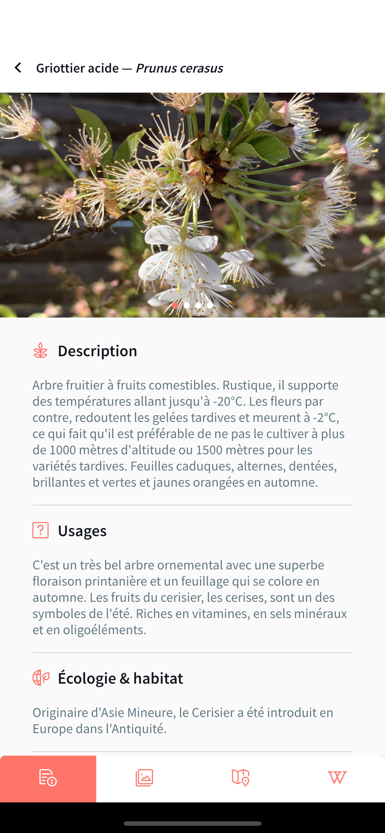 Smart'Flore