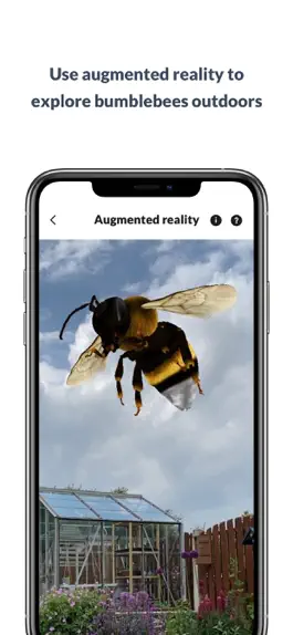 Game screenshot What’s that bumblebee hack