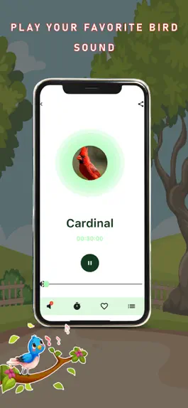 Game screenshot Birds Sounds and Music hack