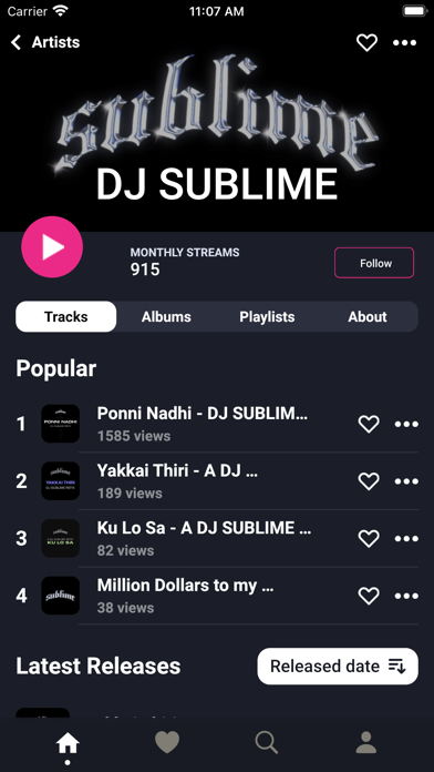 Playmi Music Screenshot