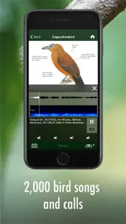 all birds guianas iphone screenshot 4