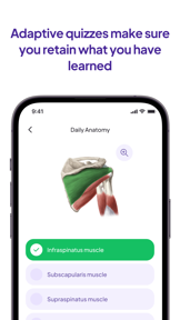 Daily Anatomy Flashcards screenshot