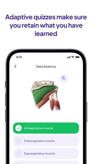 Daily Anatomy Flashcards screenshot 4