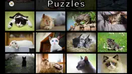 adorable cat puzzles iphone screenshot 3