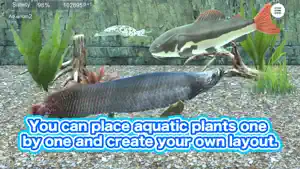 My ancient fish Aquarium screenshot 2