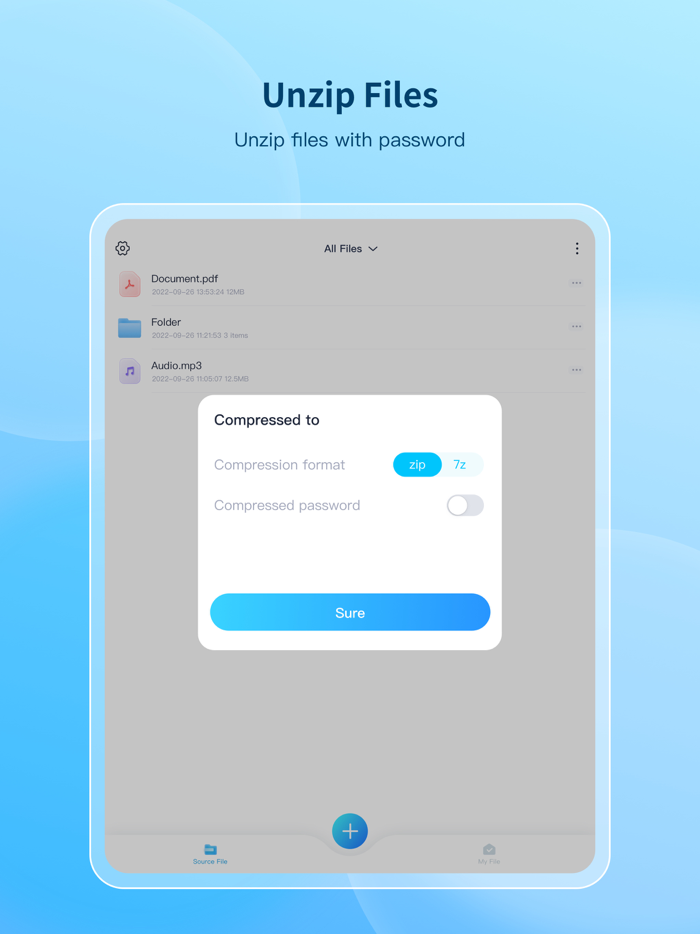 100ZG-Format Conversion