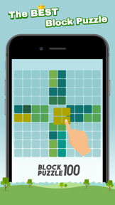 Block Puzzle 100 screenshot