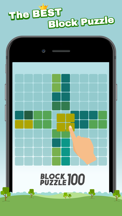 Block Puzzle 100 Screenshot