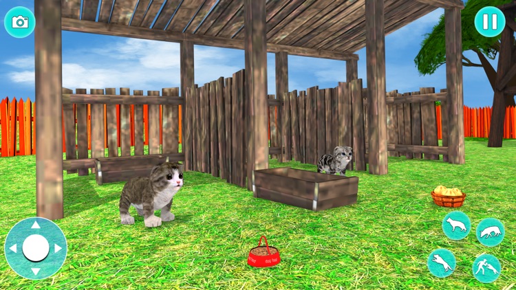 Virtual Cat Simulator 3D screenshot-3