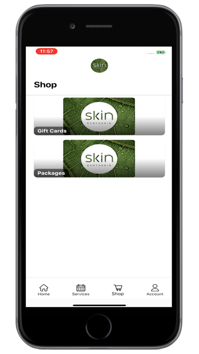 Skin Synthesis Screenshot