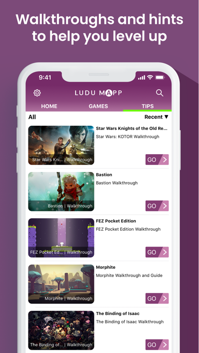 Ludu Mapp screenshot 4