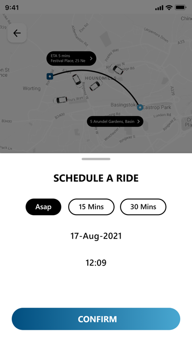 Delta Cars Basingstoke Screenshot