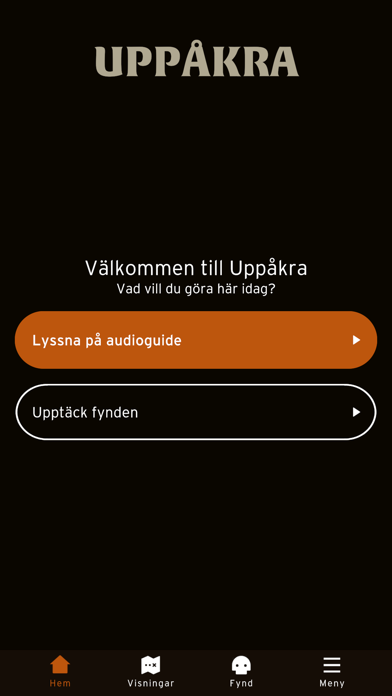 Uppåkra - Hidden History Screenshot