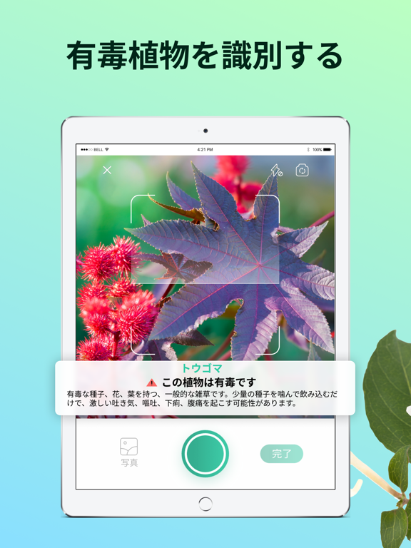 PictureThis：花、木、ハーブを写真で識別のおすすめ画像6