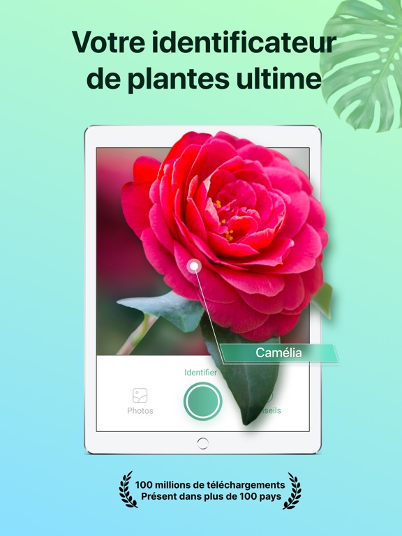 Screenshot #4 pour PictureThis: Fleurs et arbres