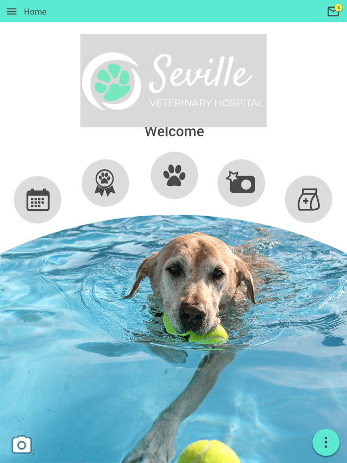 Seville Veterinary Hospital