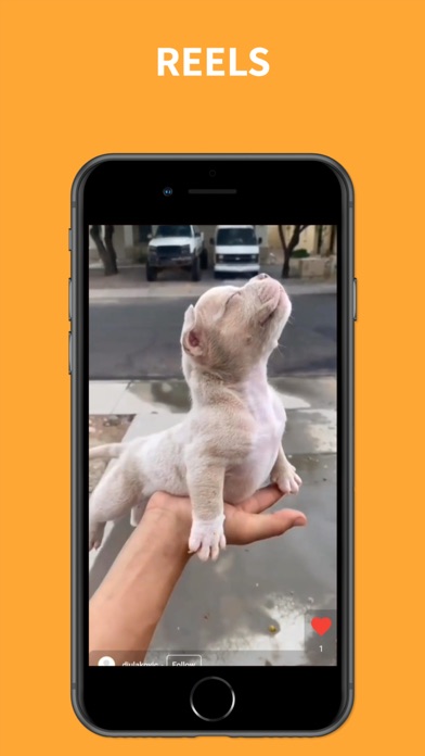 PetsMeet Screenshot