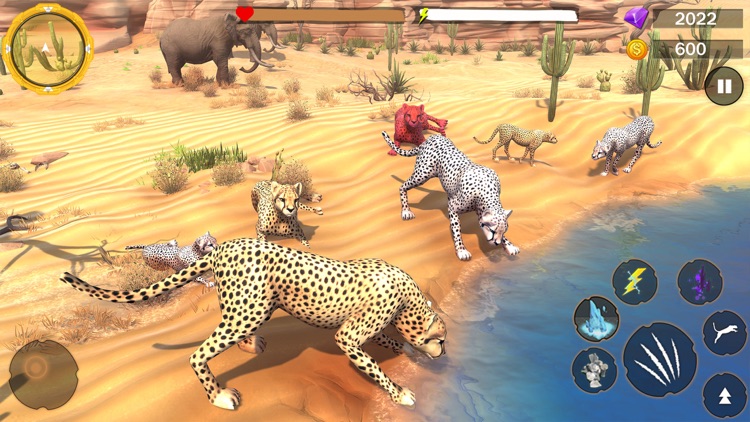 Wild Cheetah Family Sim 3D