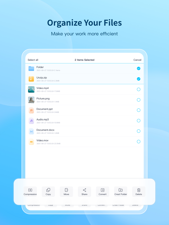 100ZG-Format Conversion