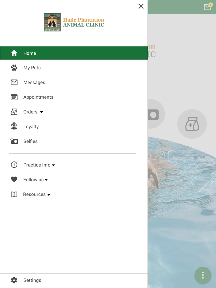 Haile Plantation Animal Clinic