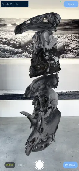 Game screenshot AR Sculptures apk