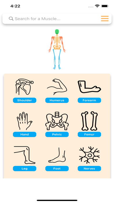 Orthopedic Limbs Anatomy Screenshot