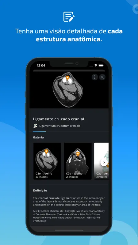IMAIOS vet-Anatomy screenshot 4 of 9