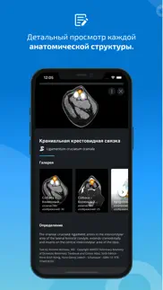 imaios vet-anatomy айфон картинки 1