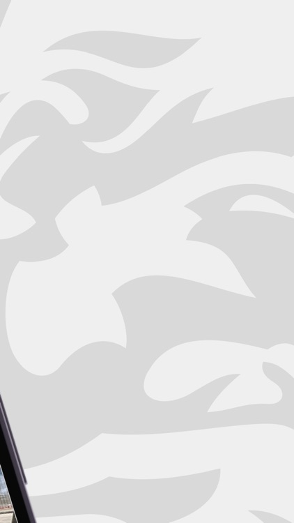 Stone Advice screenshot-3