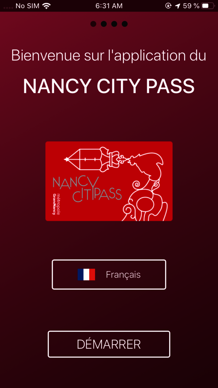 Nancy City Pass