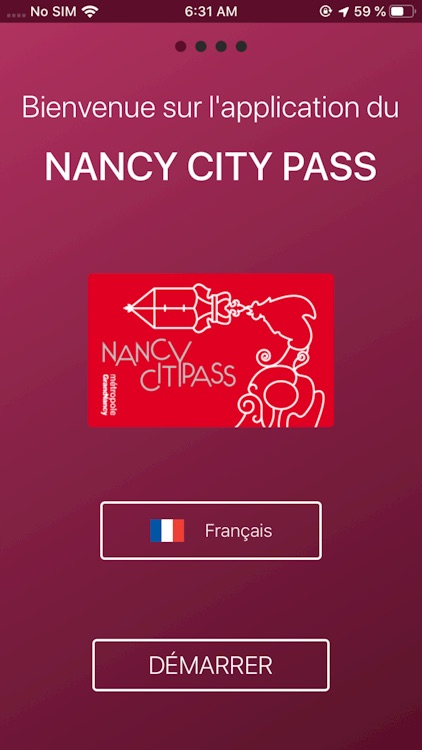 Nancy City Pass