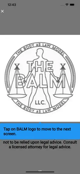 Game screenshot The BALM Primer App apk