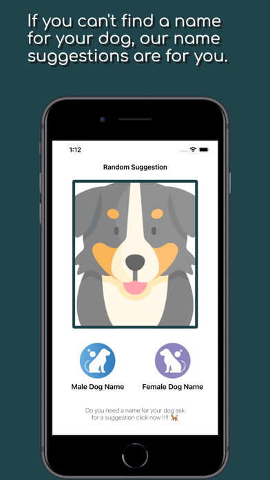 Doggy Time & Dog Scanner Screenshot