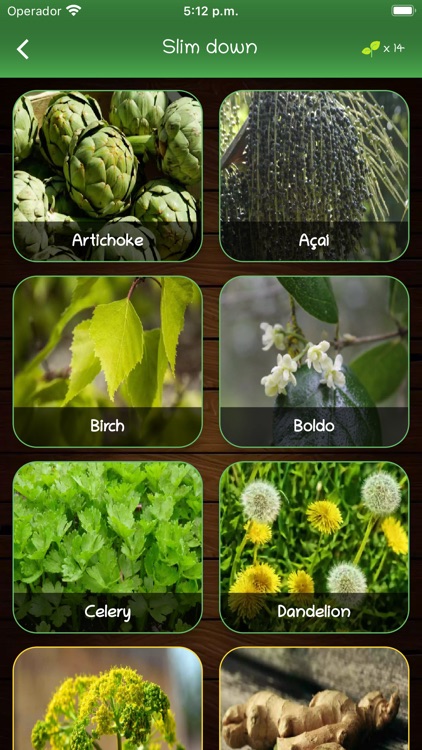 myRemedy: Medicinal plants